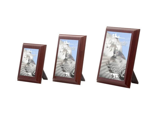 Sublimatie plaquette D258