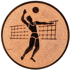 Sportafbeelding ø25 mm volleybal A1-019