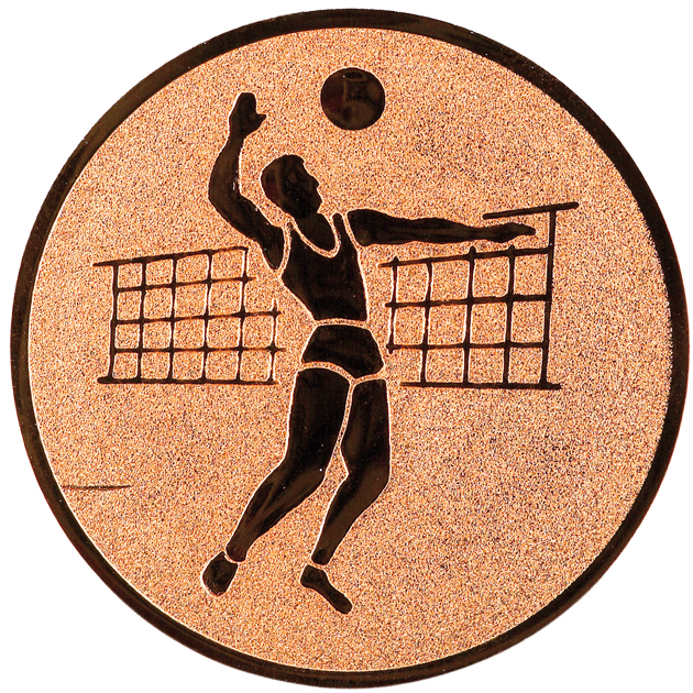 Sportafbeelding ø25 mm volleybal A1-019