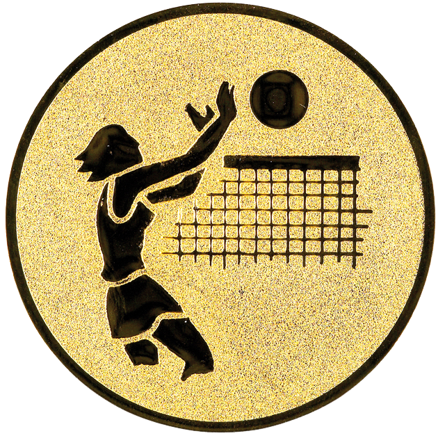 Sportafbeelding ø25 mm volleybal A1-020