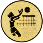 Sportafbeelding ø25 mm volleybal A1-020