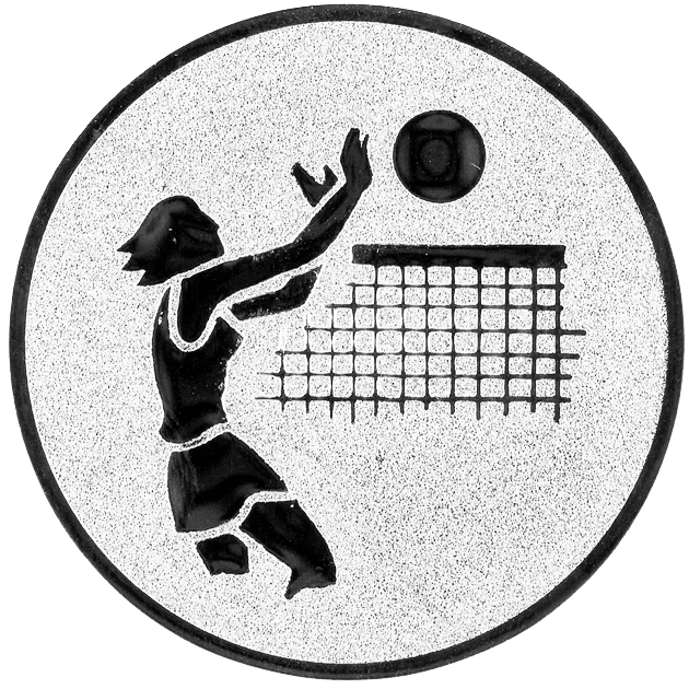 Sportafbeelding ø25 mm volleybal A1-020