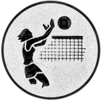 Sportafbeelding ø25 mm volleybal A1-020