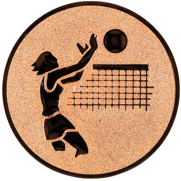 Sportafbeelding ø25 mm volleybal A1-020