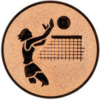 Sportafbeelding ø25 mm volleybal A1-020