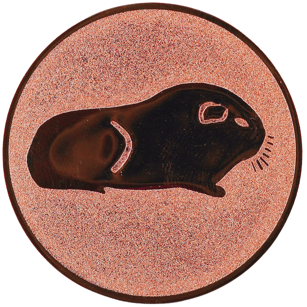 Sportafbeelding ø25 mm cavia A1-049