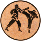 Sportafbeelding ø25 mm karate A1-078