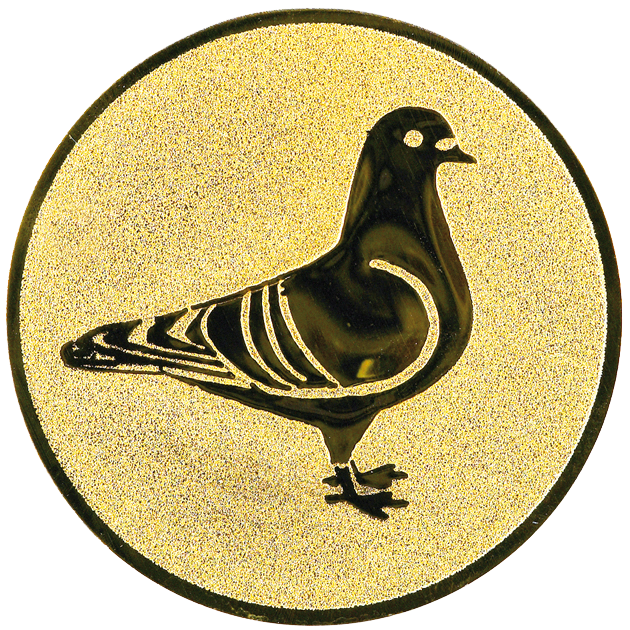 Sportafbeelding ø25 mm duif A1-101