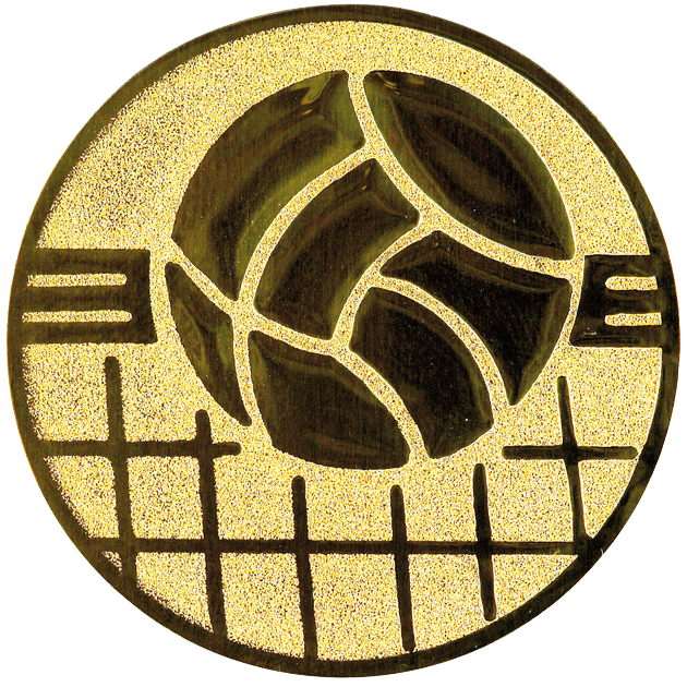 Sportafbeelding ø25 mm volleybal A1-139