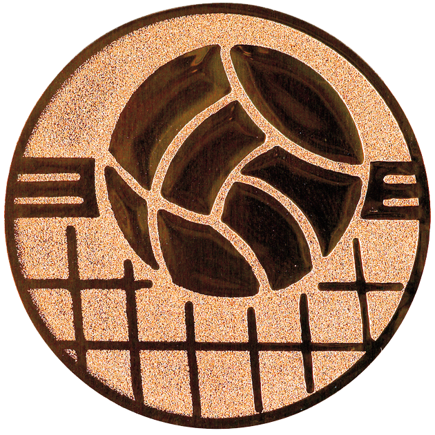 Sportafbeelding ø25 mm volleybal A1-139