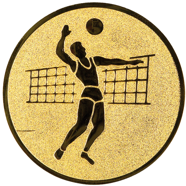 Sportafbeelding ø50 mm volleybal A2-019