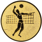 Sportafbeelding ø50 mm volleybal A2-019