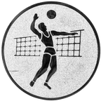Sportafbeelding ø50 mm volleybal A2-019