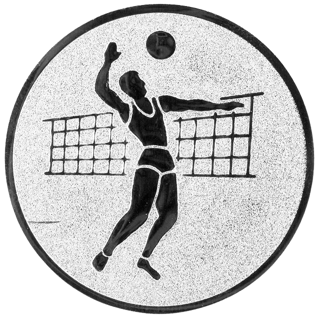 Sportafbeelding ø50 mm volleybal A2-019