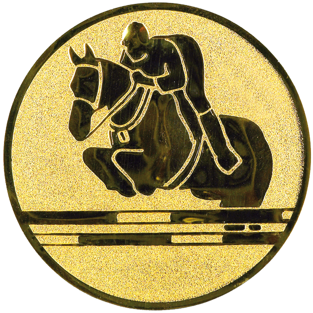 Sportafbeelding ø50 mm paard springen A2-066