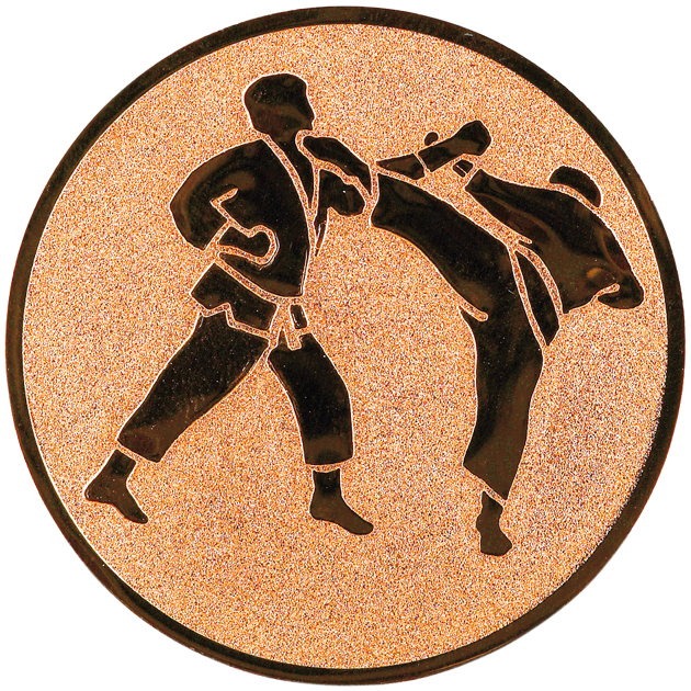 Sportafbeelding ø50 mm karate A2-078