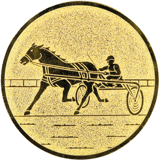 Sportafbeelding ø50 mm paardenraces A2-157
