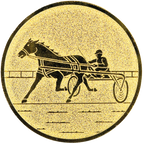 Sportafbeelding ø50 mm paardenraces A2-157
