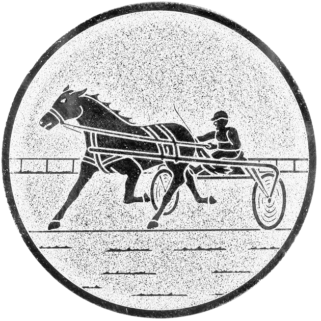 Sportafbeelding ø50 mm paardenraces A2-157