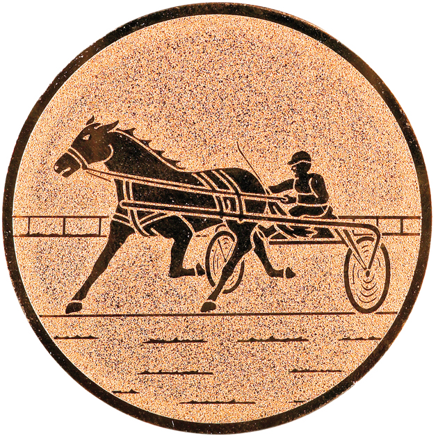 Sportafbeelding ø50 mm paardenraces A2-157