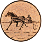 Sportafbeelding ø50 mm paardenraces A2-157