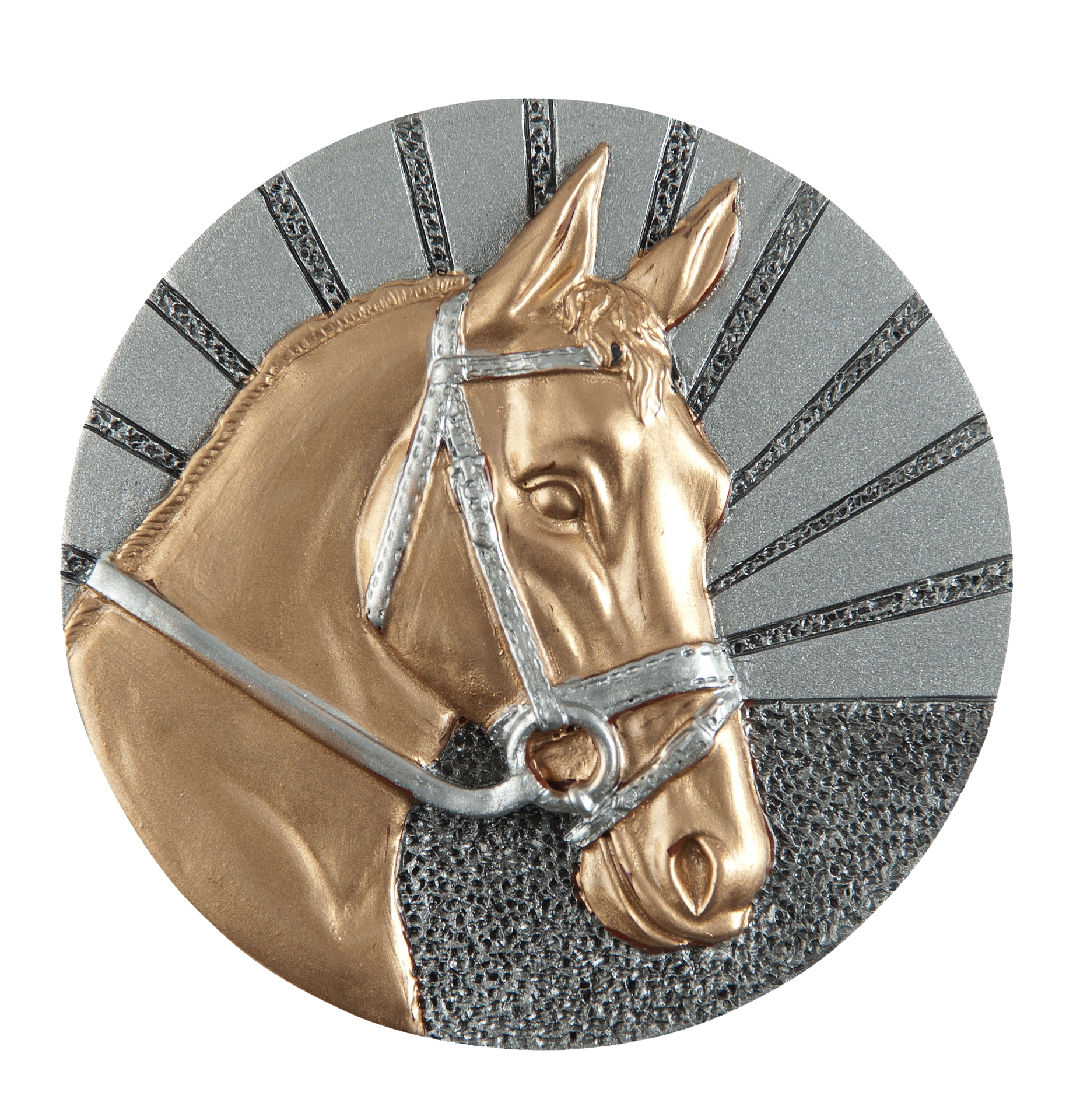 Blaze Schijf Paardensport